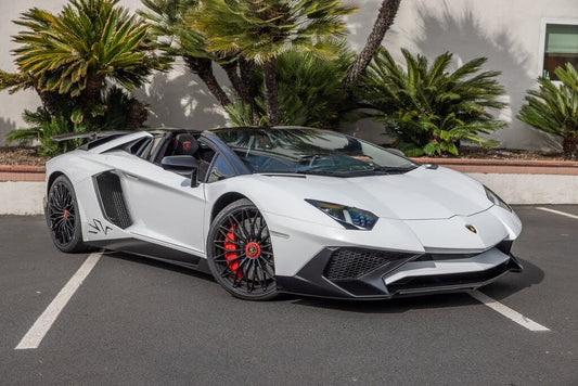 PRIDE 15-17 Lamborghini Aventador SV LP 750-4 Scrape Plates