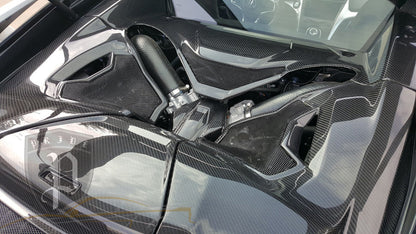 PRIDE NSX 17-22 Carbon Intake Manifold Cover