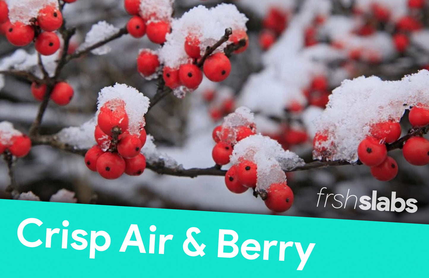 Air Freshener - Large Refill (5ml)