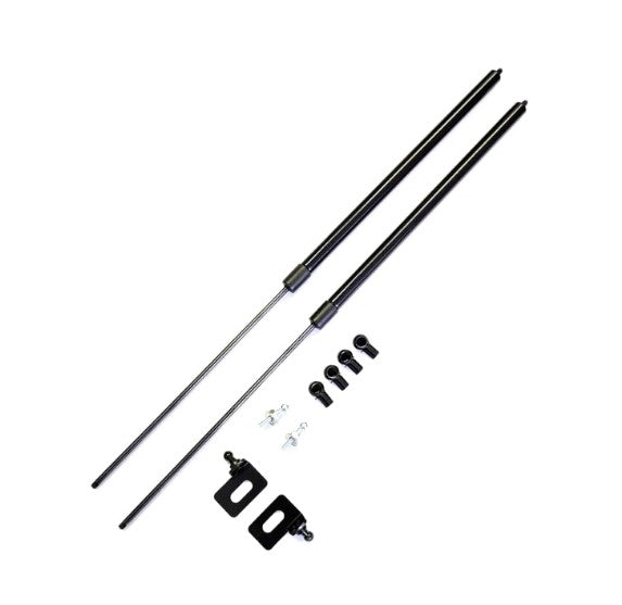 Hood Dampers - S2000