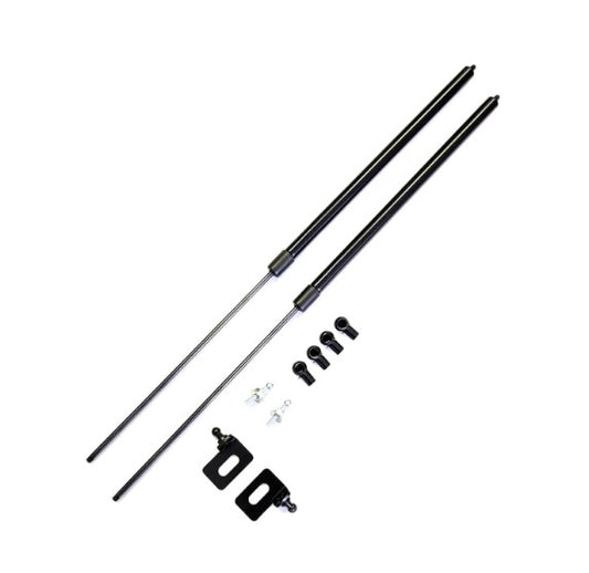 Hood Dampers - S2000