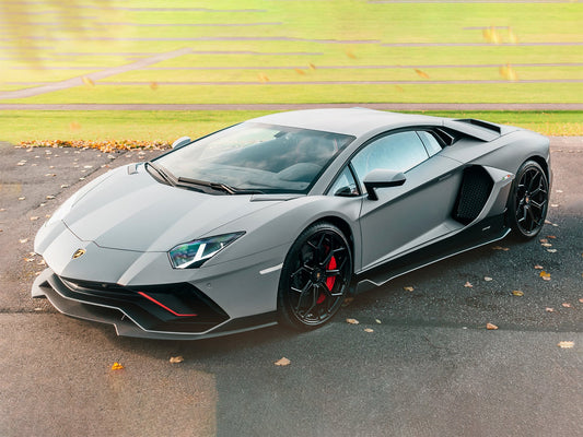 PRIDE 16-21 Lamborghini Aventador S LP 740-4 &  2021-2022 Ultimae LP 780-4 Scrape Plates
